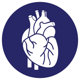 Szívkoherencia HRV biofeedback - Tudományos Egyesület MABNATE