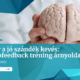 Amikor a jó szándék kevés A neurofeedback tréning árnyoldalai MABNATE